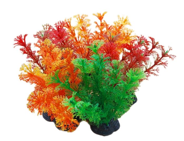 Набір рослин для акваріума, 5 шт (6510 см)