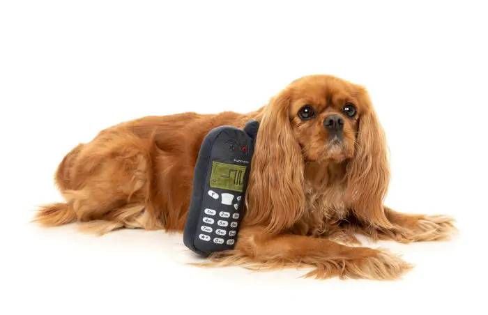 М'яка іграшка для собак FuzzYard Nokidog