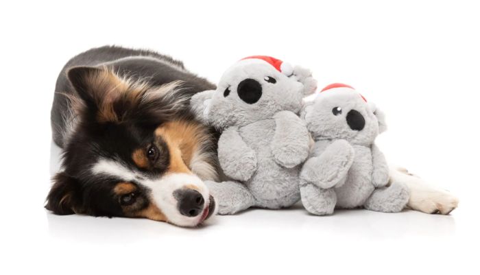 М'яка іграшка для собак FuzzYard Коко Коала L