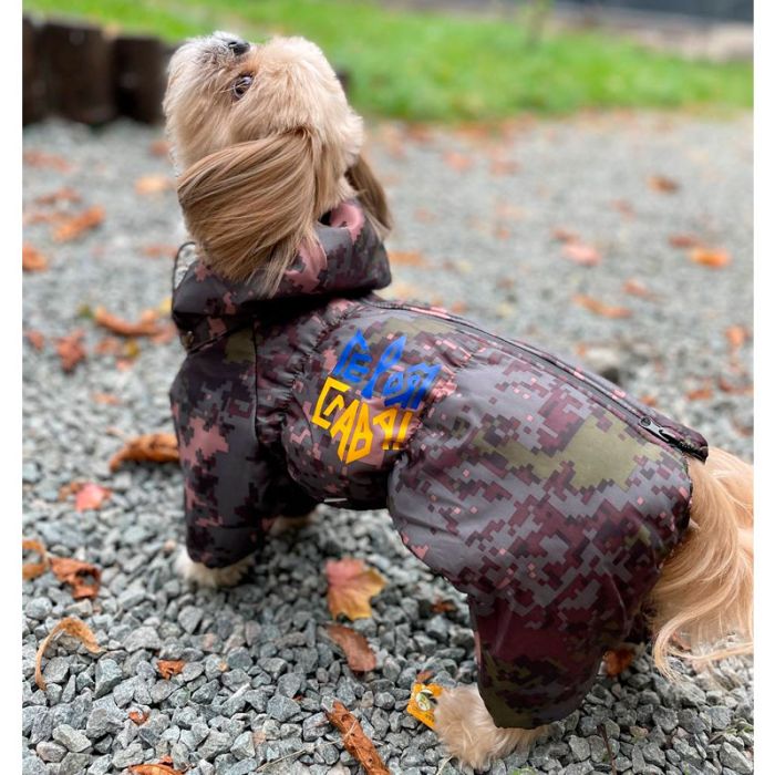 Камуфляж комбінезон на силіконі для собак хлопчиків S2 мопс