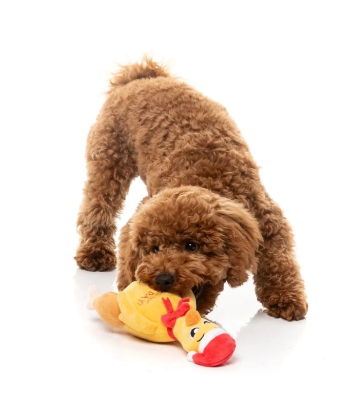 М'яка іграшка для собак FuzzYard Півень-Качок