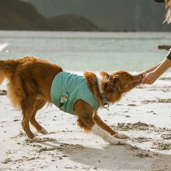 Охолоджуючий жилет для собак Hurtta Cooling Wrap 40-50 см Блакитний