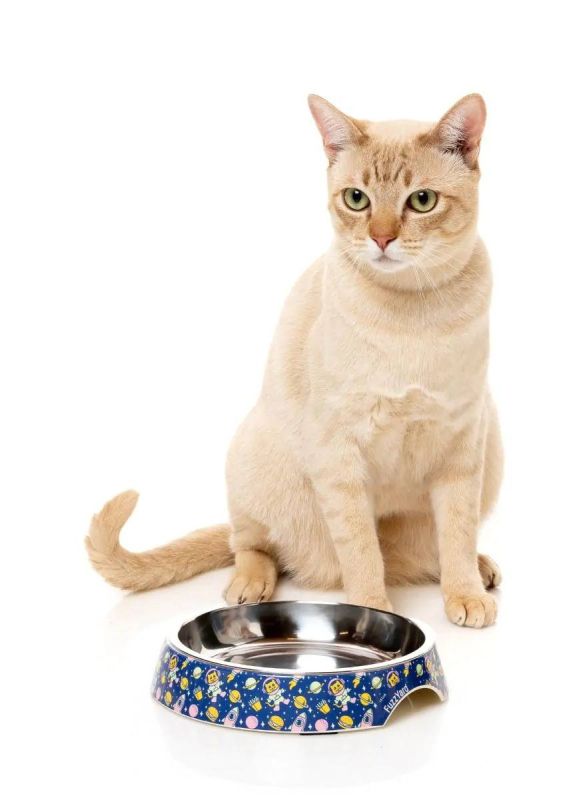 Миска для котів FuzzYard Pluto Pussycat Синій