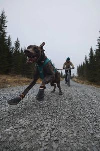 Черевики для собак Protector bootie Non-stop dogwear Чорний/Помаранчевий 2XL 4 Шт.