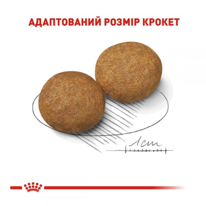 Royal Canin shn medium ad 4кг + 12 паучей, корм для собак 11343 акція 