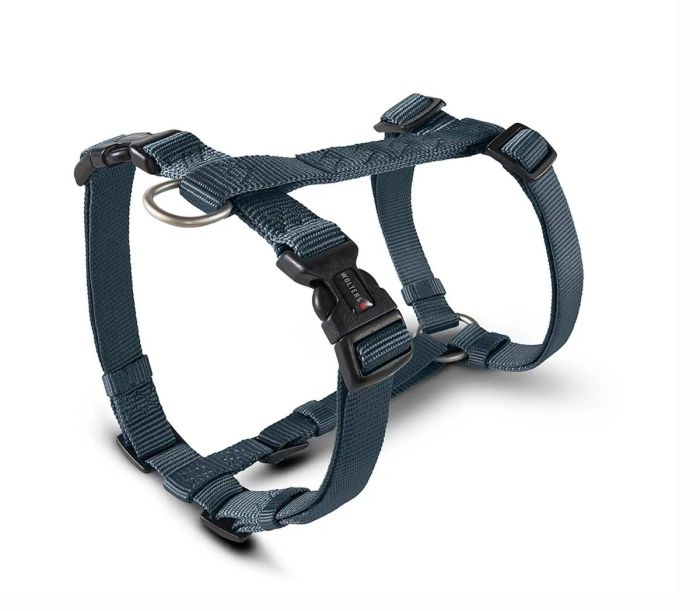 Анатомічна шлейка для собак Wolters Professional XL 75-100 см / 25 мм Графітовий