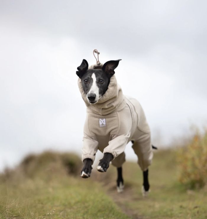 Комбінезон для собак Non-stop dogwear Trail quest fleece overall Бежевий 60