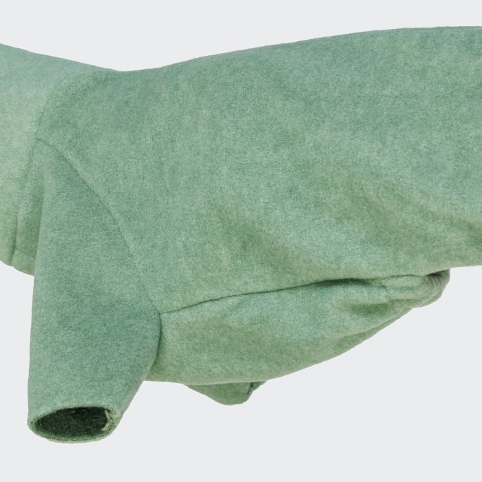 Светр для такс і схожих порід собак Cloud7 Cornwall Dachshund Зелений 1