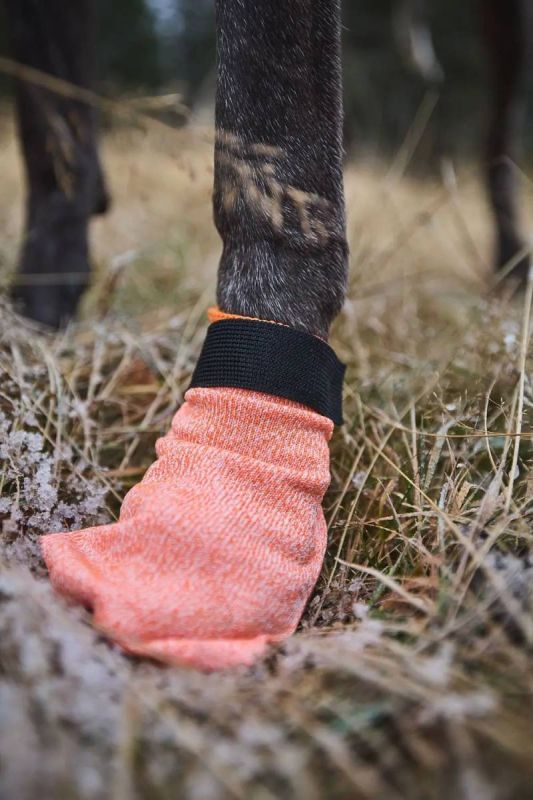 Шкарпетки для собак Protector light socks Non-stop dogwear Помаранчевий М 4 Шт.