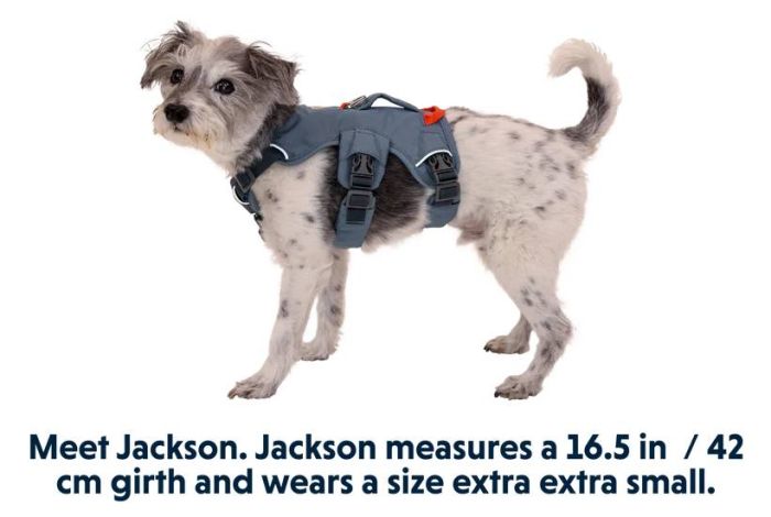 Підтримуюча шлейка для службових собак Ruffwear Web Master™ M 69-81 см Синій