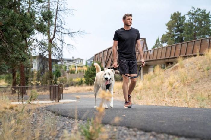 Повідець перестібка для собак Ruffwear Switchbak™ Сірий