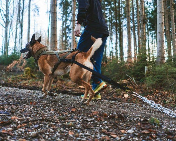 Кріплення для тягання Pulling attachment WD Non-stop dogwear Чорний