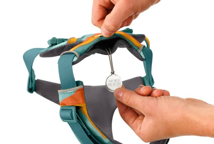 Повсякденна шлейка для собак Ruffwear Front Range® L/XL 81-107 см Бірюзово-жовтогарячий