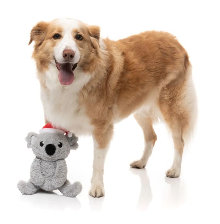 М'яка іграшка для собак FuzzYard Коко Коала L