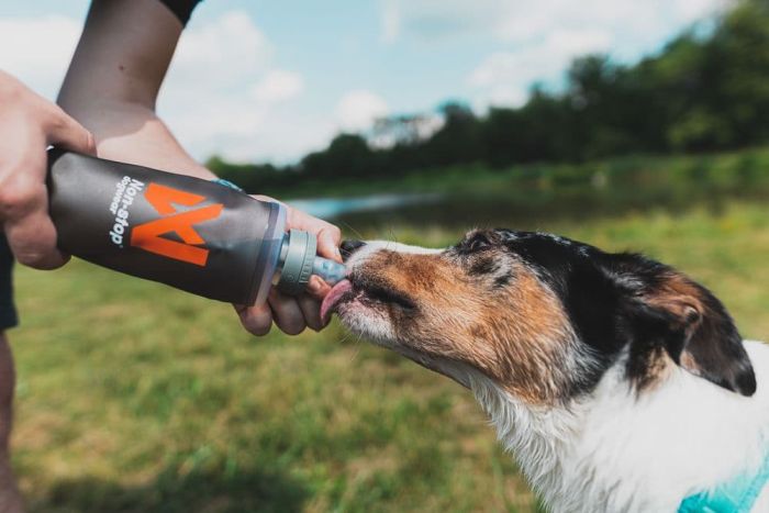 Пляшечка для собак NSD Soft flask Non-stop dogwear Сірий 500 мл
