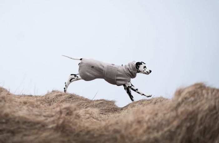 Халат-рушник для собак Drying coat Non-stop dogwear Сірий 60