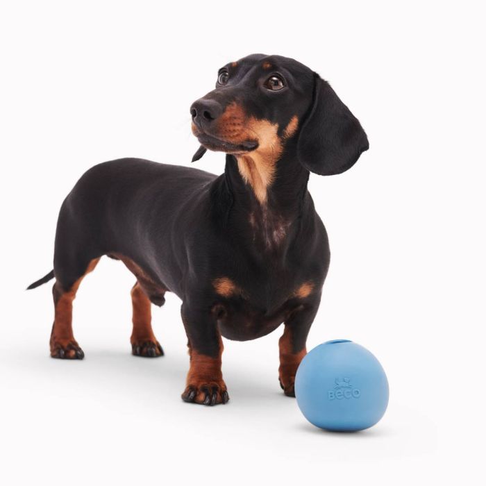 Іграшка м'ячик з отвором для ласощів для собак Beco Pets Wobble Ball Блакитний
