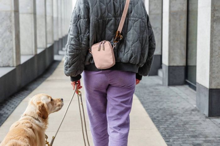 Сумка для ласощів і аксесуарів собак Palopa Greta L Ніжно-рожевий