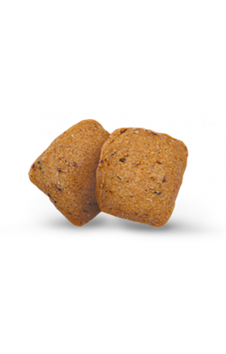 Green Petfood Insect dog-вегетаріанський корм для собак з мясом комах 900г + 900г 