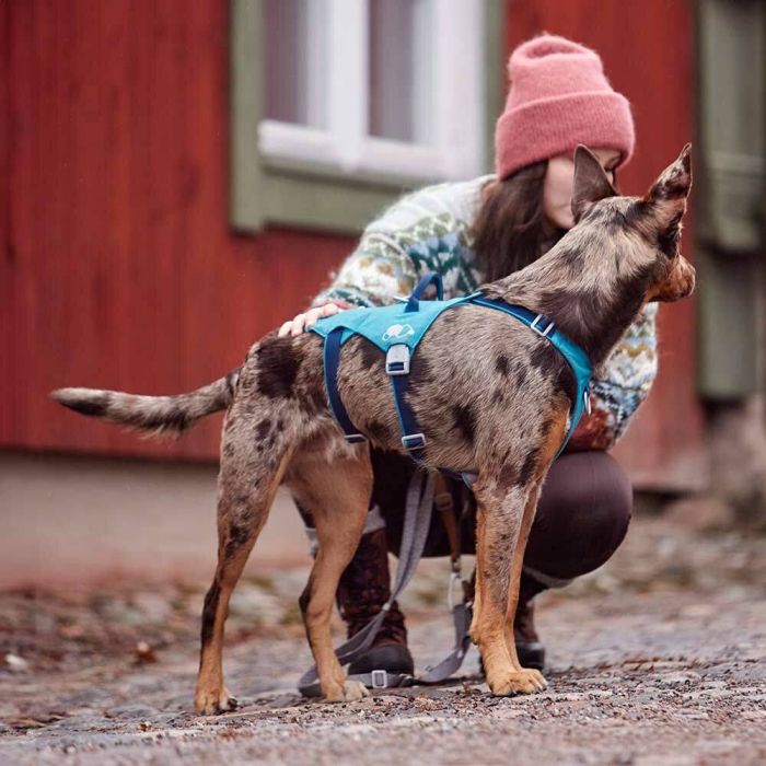 Шлейка для собак Hurtta Safeguard Harness ECO Синій 45-60