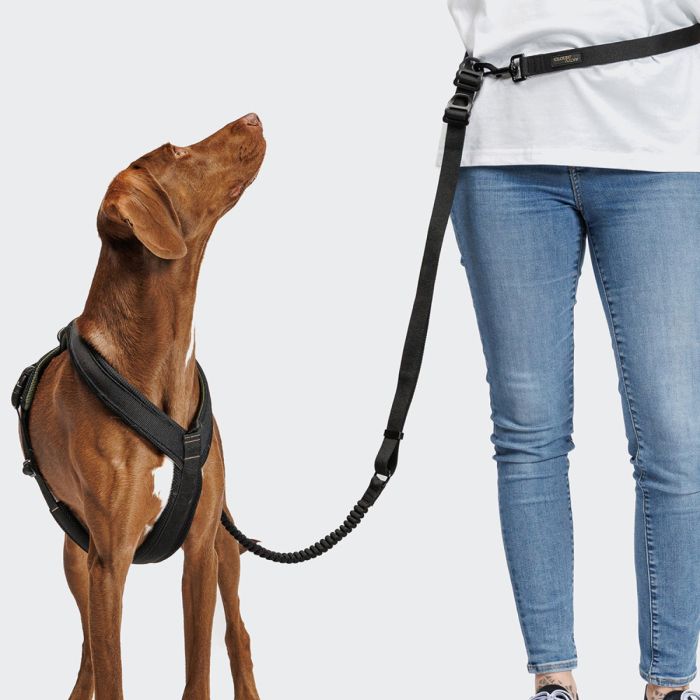 Повідець з амортизацією для собак Cloud7 L-2-Jogging-Leash AKTIV Чорний L