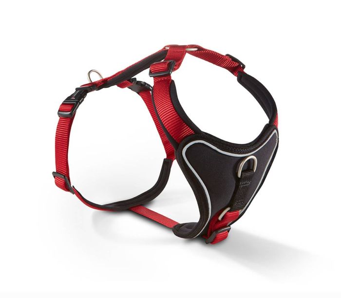 Шлейка для собак пом'якшена Wolters Professional Comfort 1 35-40 см / 25 мм Червоний