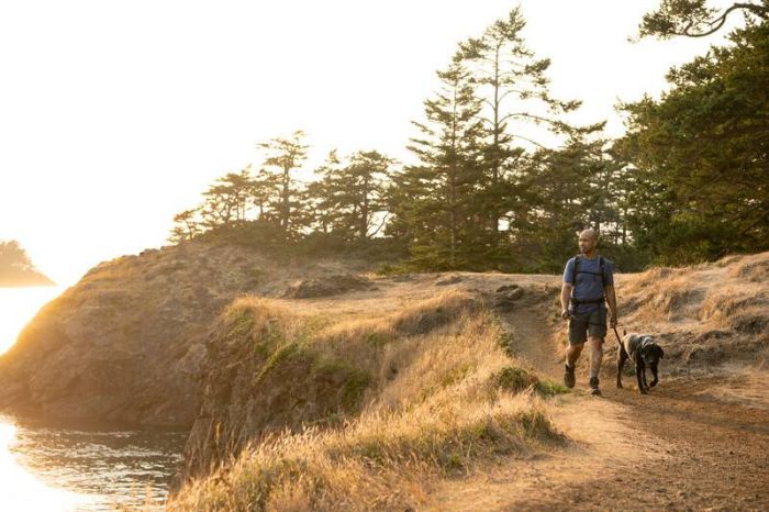 Повсякденний повідець для собак Ruffwear Front Range™ Сірий