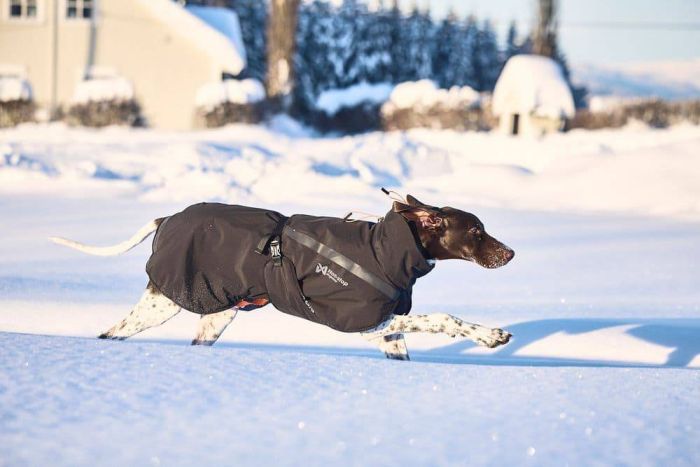 Куртка для собак Trekking insulated Non-stop dogwear Чорний 55