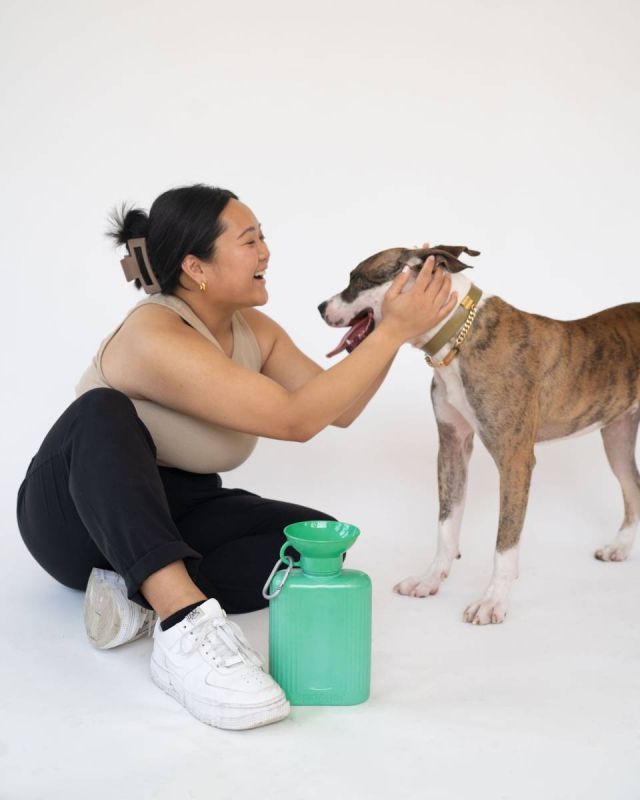 Пляшка-поїлка для собак Springland Зелений 1,3 л