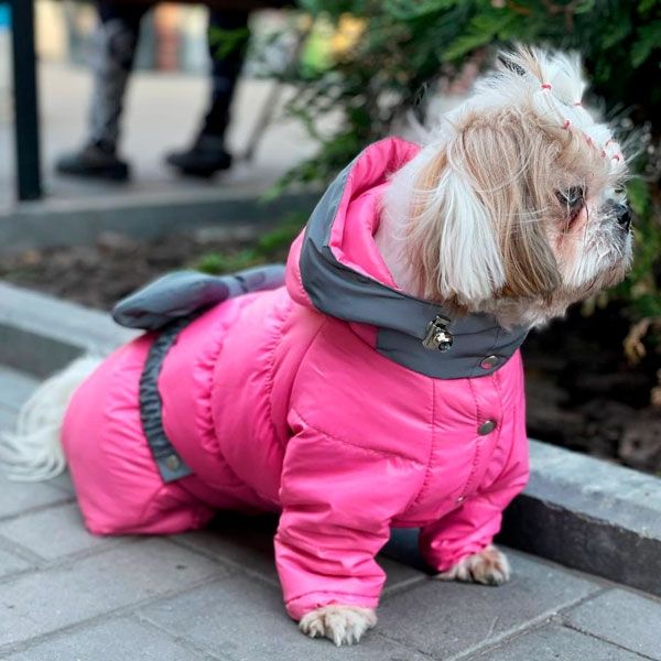 Комбінезон Бантик силікон (дівчинка) S1