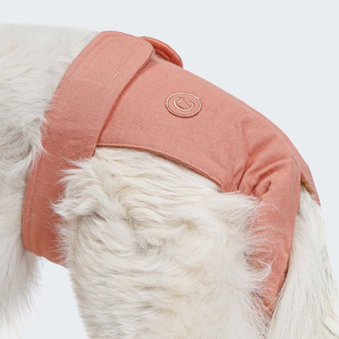 Гігієнічні труси для собак Cloud7 Panties Рожевий L