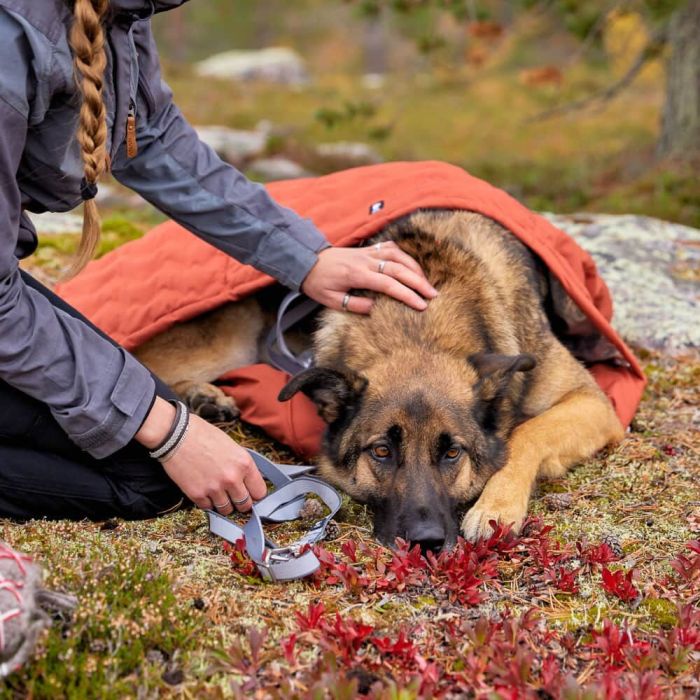 Спальний мішок для собак Hurtta Sleepover sleeping bag Помаранчевий S