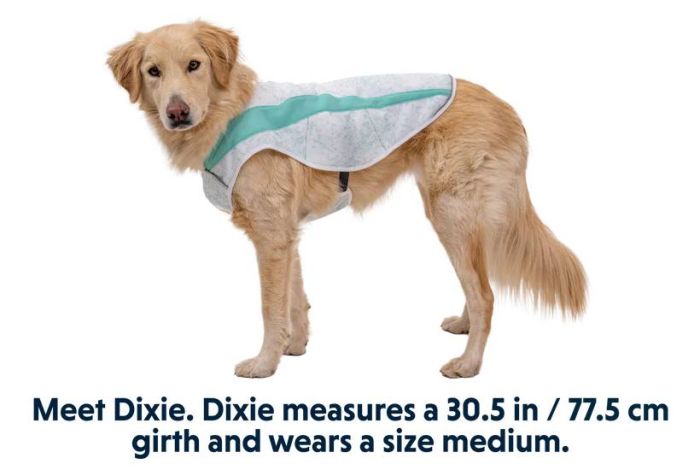 Охолоджуюча попона для собак Ruffwear Swamp Cooler™ XS Зелений