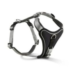 Шлейка для собак пом'якшена Wolters Professional Comfort 7 90-110 см / 35 мм Сріблястий