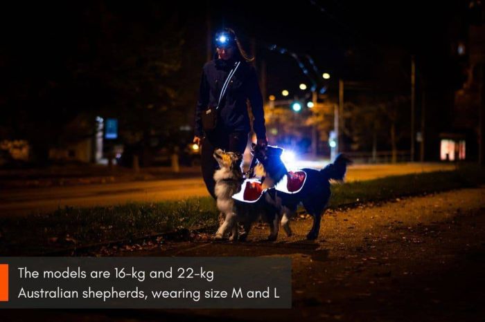 Світловідбивна попона Reflection blanket Non-stop dogwear Помаранчевий XL