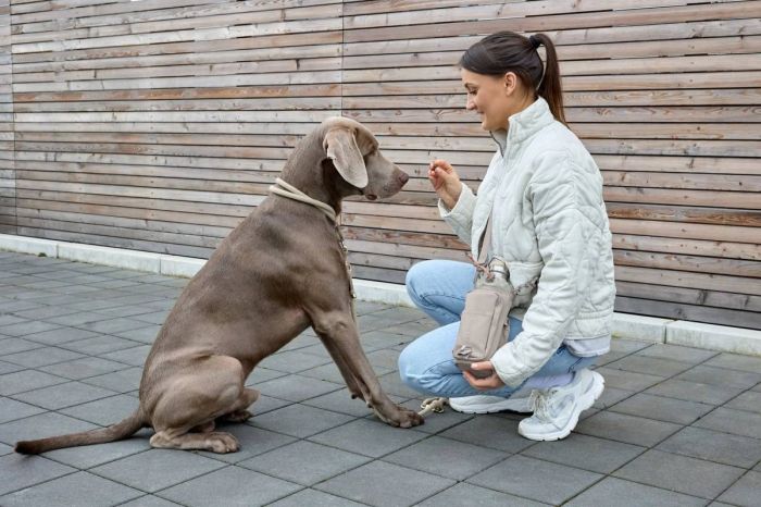 Сумка-термос для пляшки та аксесуарів для собак Palopa Boudi Сіро-коричневий