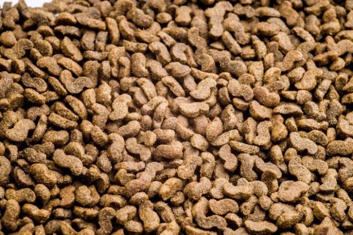 Акція CLUB 4 PAWS Сухий корм для собак малих порід з ягням та рисом 14кг (-15)