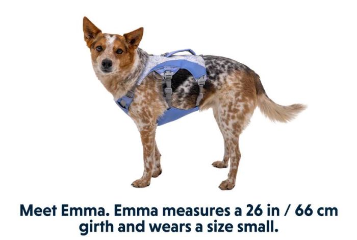 Охолоджувальна шлейка для собак Ruffwear Swamp Cooler™ S 56-69 см Фіолетовий