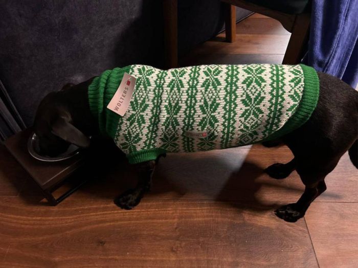 В'язаний светр для собаки Wolters Thore 45 см Зелений