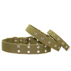 Нашийник економ брезент подвійний безрозмірний 26-57 см