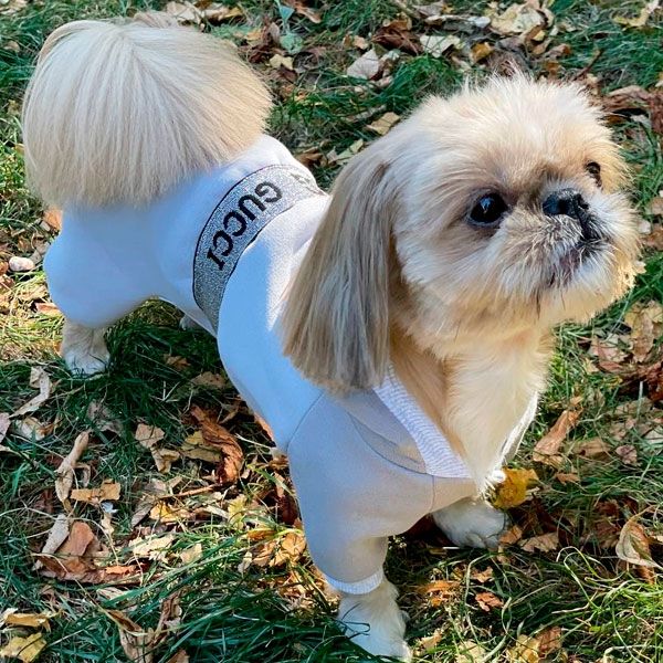 Комбінезон Гучик трикотаж на флісі (хлопчик) S1