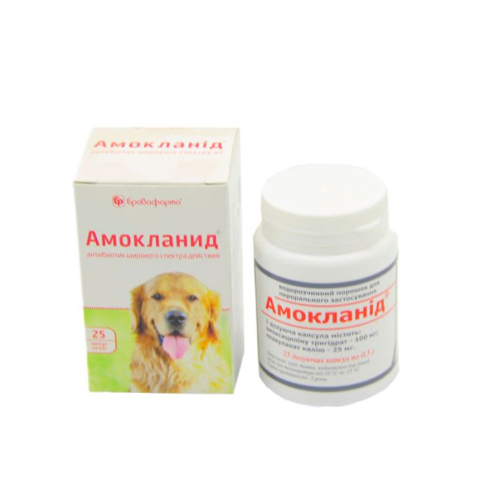 Амокланід-антибіотик при захворюваннях травного тракту 25 таблеток Амокланід капсули 25 табл, Бровафарма