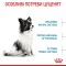 АКЦІЯ Royal Canin X-Small Puppy для цуценят мініатюрних порід до 10 місяців, 1.5 кг + 4 паучі 
