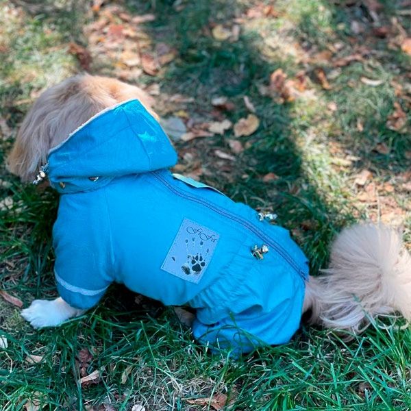 Єдність комбінезон для собак хлопчиків велсофт без силікону S3