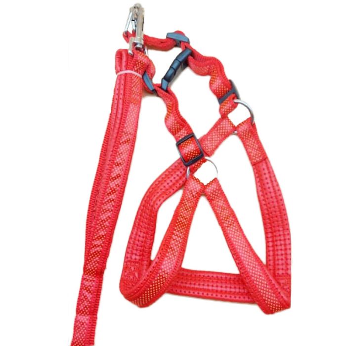 Шлея з повідцем для собак 3см (58-70) 120см нейлон LH-252-25 