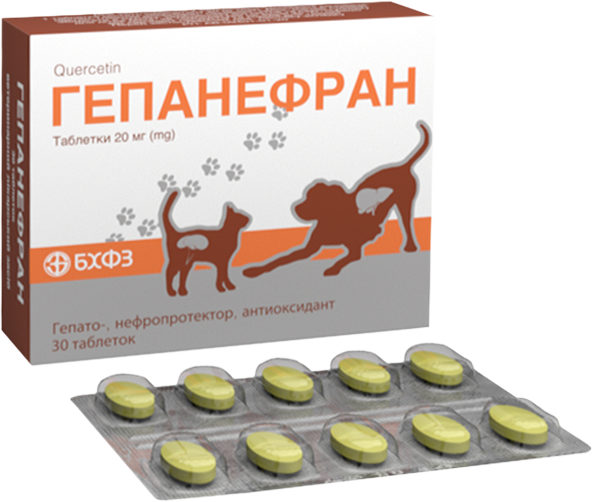 Гепанефран 20мг гепатонефропротект, антиоксидант, 30 таблеток БХФЗ 30 таблеток