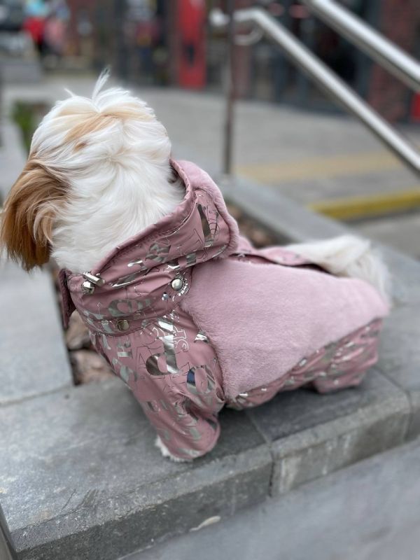 Дайкірі комбінезон для собак дівчаток на силіконі S2