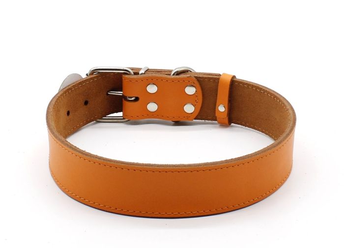 Нашийник Franty Style шкіра 40 мм х 56-66 см зелений