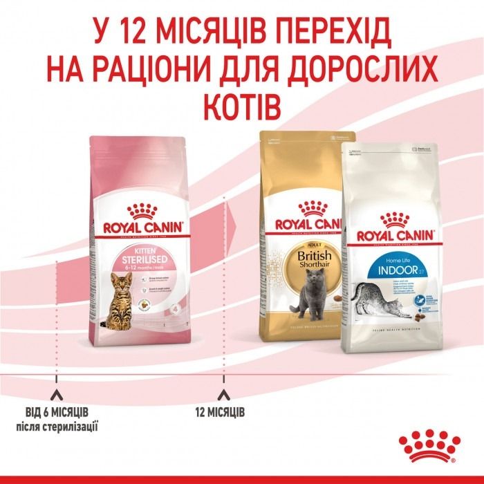 АКЦІЯ Royal Canin KITTEN STERILISED для стерилізованих кошенят набір корму 2 кг + 4 паучі 