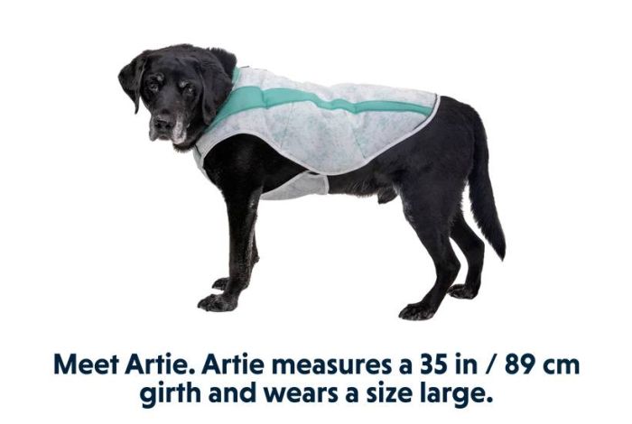 Охолоджуюча попона для собак Ruffwear Swamp Cooler™ S Зелений